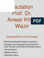 Physiology of Lactation