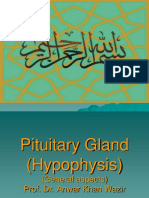 Pituitary Gland, Hormone and Control by Hypothalamus