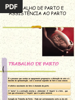 Plano de Parto Modelo | PDF | Parto | Gravidez