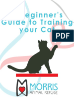 A Beginner's Guide To Training Your Cat