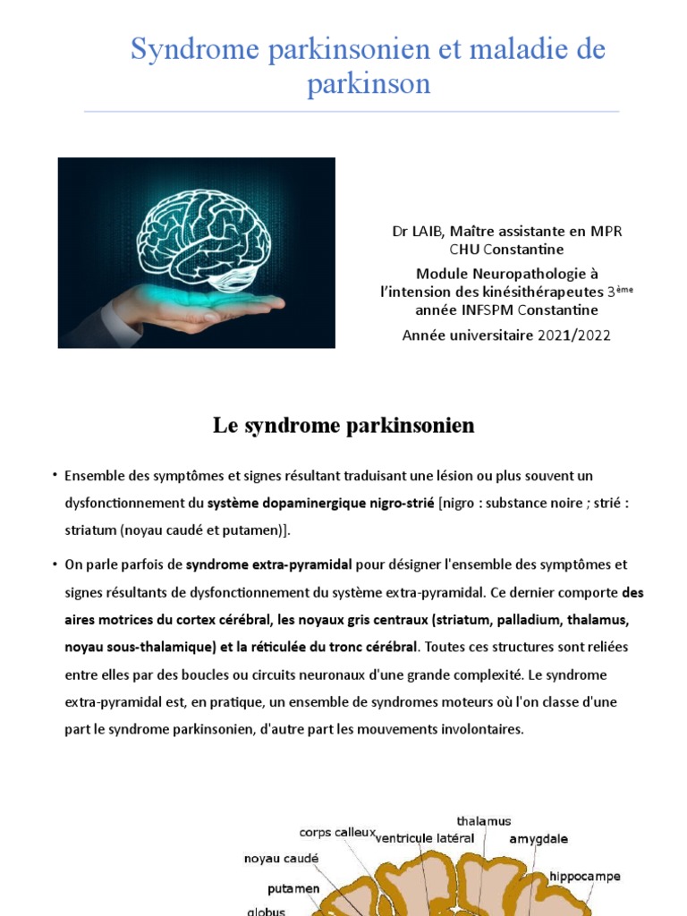 Syndrome Parkinsonien Et Maladie de Parkinson | PDF | Maladie de ...
