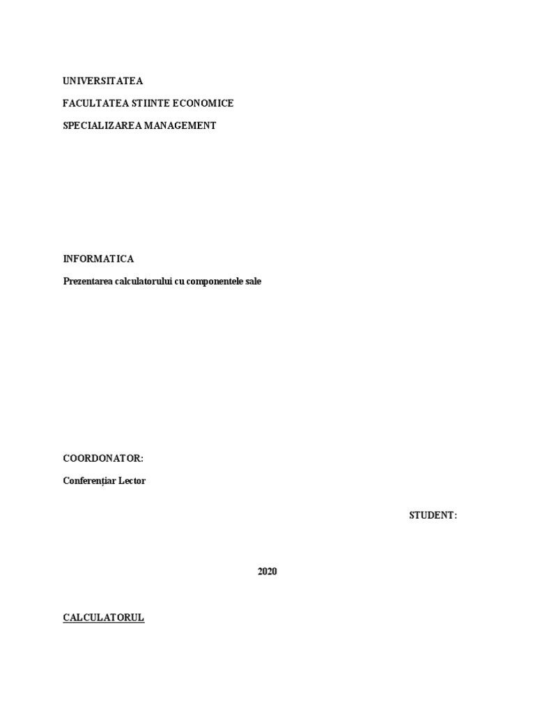 Referat Informatica | PDF