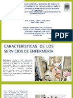 Caracteristicas de Los Servicios de Enfermeria