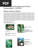 PLANTAS TÓXICAS