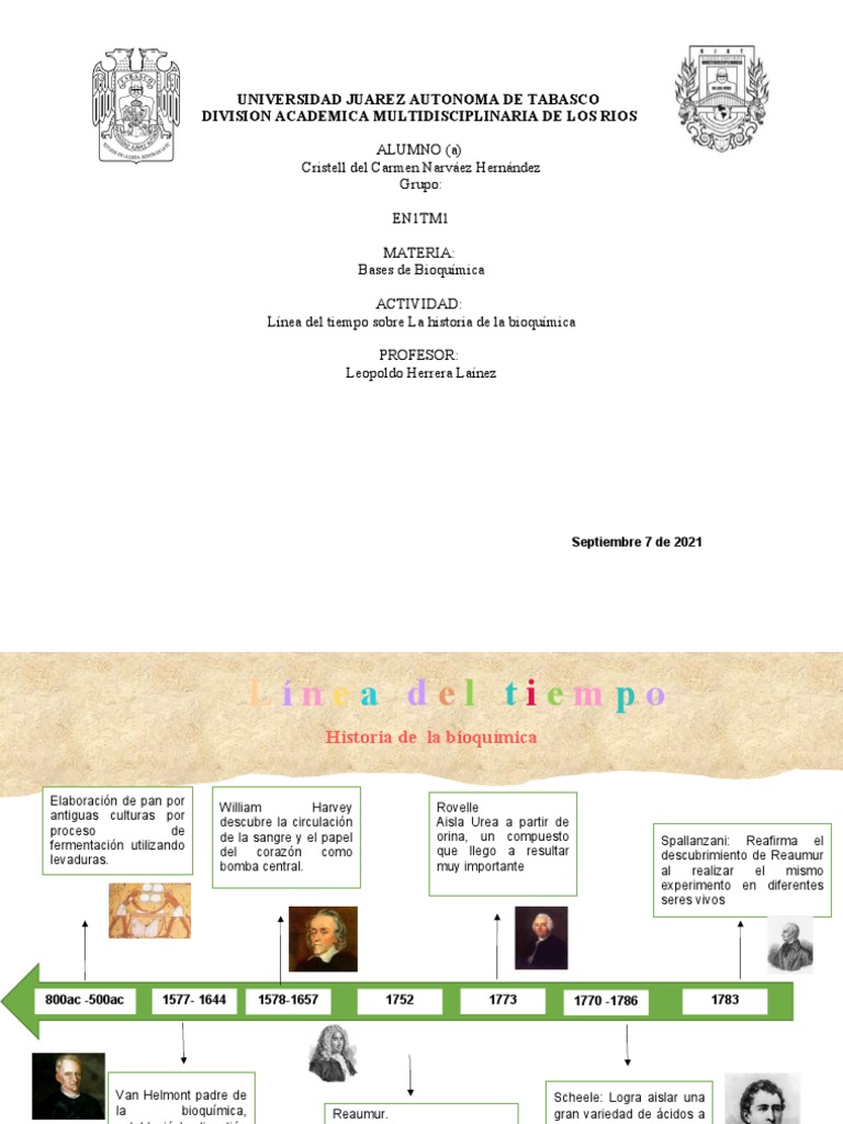 Linea Del Tiempo Historia de La