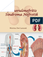 5_Glomerulonefritis Dan Sindroma Nefrotik