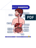 Sistemas Digestivos