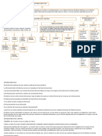 SISTEMA NERVIOSO-mapa Conceptual