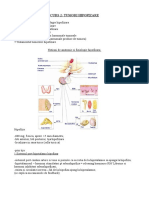 CURS 02-Tumori Hipofizare