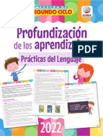 Descargable Profundizacion Practicas 2