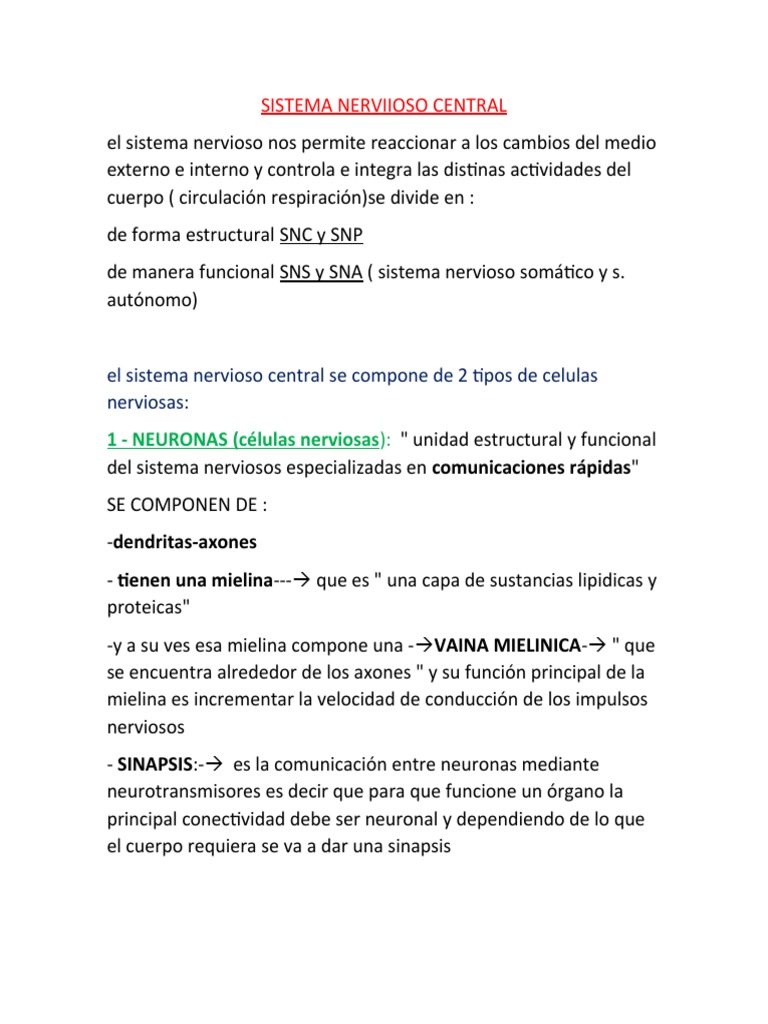 Sistema Nerviioso Central | PDF | Nervio | Sistema nervioso