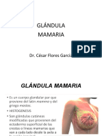 Glandula Mamaria 2022
