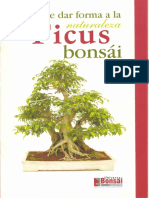 6kp1 Bonsai - El Ficus Bonsai
