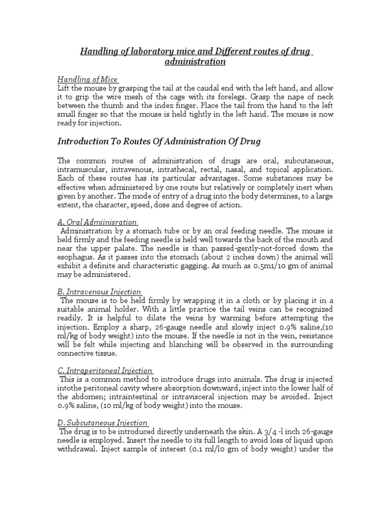 Handling Of Laboratory Mice And Different Routes Of Drug Administration Injection Medicine Blood