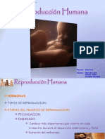 Reproducción Humana