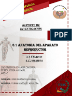 REPORTE DE ANATOMIA DEL APARATO REPRODUCTOR Yurani Vazquez Aguilera