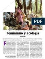 Feminismo y Ecologia
