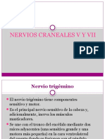 Nervios Craneales V y Vii