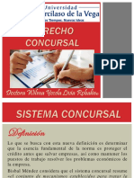 Sistema Concursal Peruano: Definición, Evolución, Principios y Procedimientos