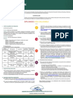 Convocatoria DiplomadoVS