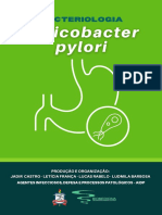 Helicobacter Pylori - GRUPO 4 (1)