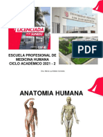 Anatomia 2