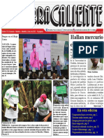 Periódico Tierra Caliente Edición 223