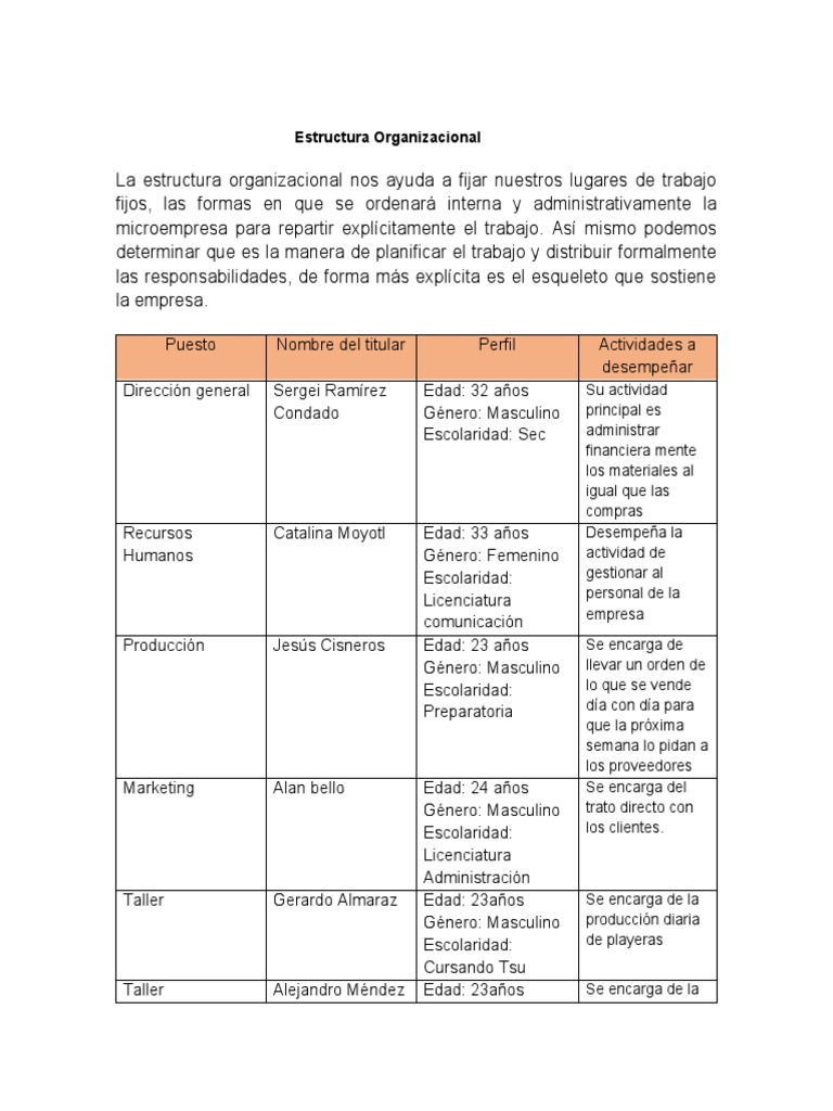 Estructura Organizacional | PDF | Business | Economias