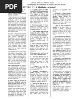 série Fidelidade IBMS 2008.17