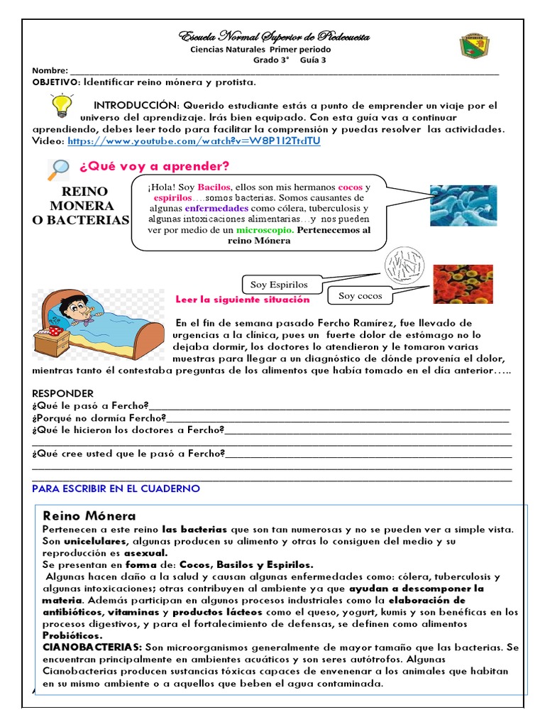 3.REINO MÓNERA Y PROTISTA y FUNGI. | PDF | Hongo | Protozoos