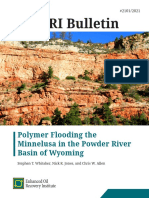 Polymer-Flooding-in-the-Minnelusa-web