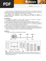 Odisseia10 Questao Aula 2