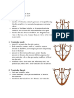 Cardiac Cycle Stages Systole Diastole