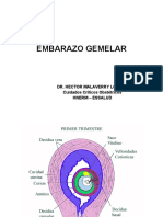 EMBARAZO GEMELAR 3 --5- 2011