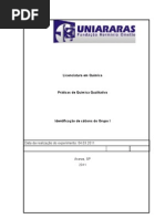 Experimento 1 - Identificao Cations Do Grupo I - Na, K, NH4 - 04.03.11