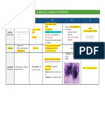 Brucella, Nocardia y Actinomyces