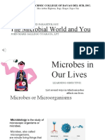 Microworld and You 1