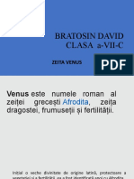 prezentare ppt David Bratosin