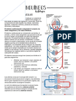 Sistema Cardiovascular Aprobaaar