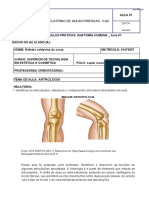 Relatório Práticas Ead - Anatomia Humana - Aula 1