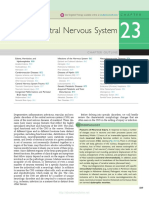 Central Nervous System: Chapter Outline