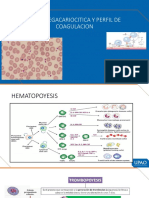Serie megacariocítica y perfil de coagulación