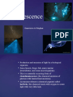 Bio Luminescence Final