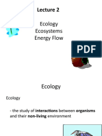 L2 Ecology (1)