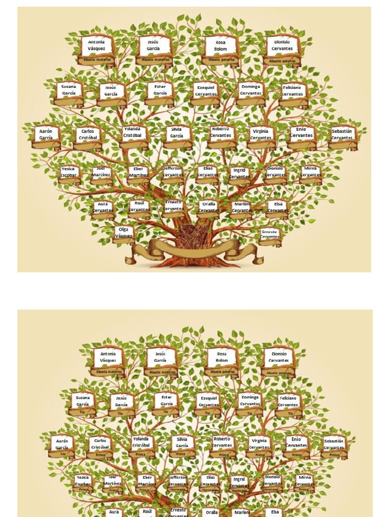 Arbol Genealogico | PDF