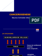 Cancerogenese