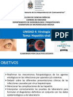 Conferencia Hepatitis Viral