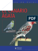 El canario Ágata