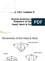 MAK 121: Lesson 5: Muscle Anatomy and Palpation of The Head, Neck & Face