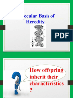 Molecular Basis of Heredity-Ppt3 - S